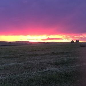 Meet your Posher, Kerrigan